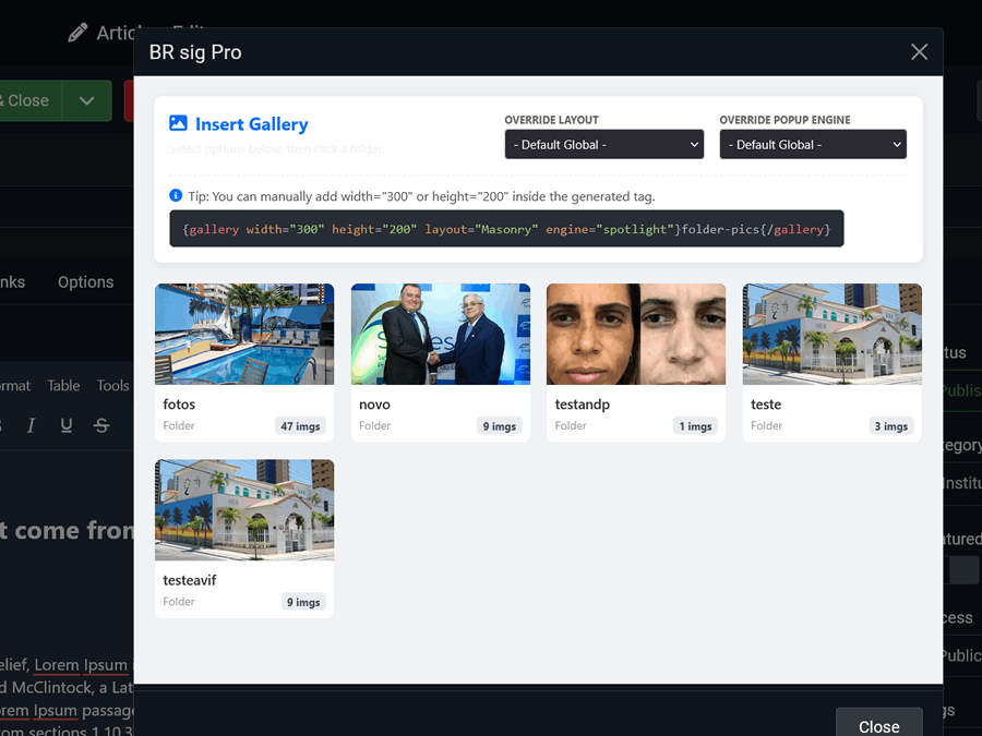 Gallery Dashboard 3