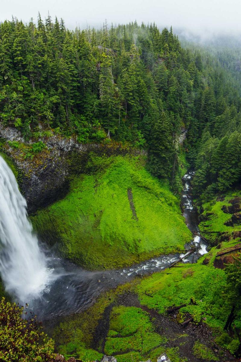 Forest waterfall gallery photograph